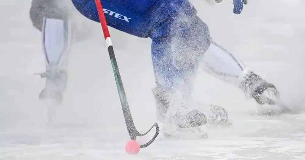 Московское «Динамо» выиграло чемпионат России по бенди