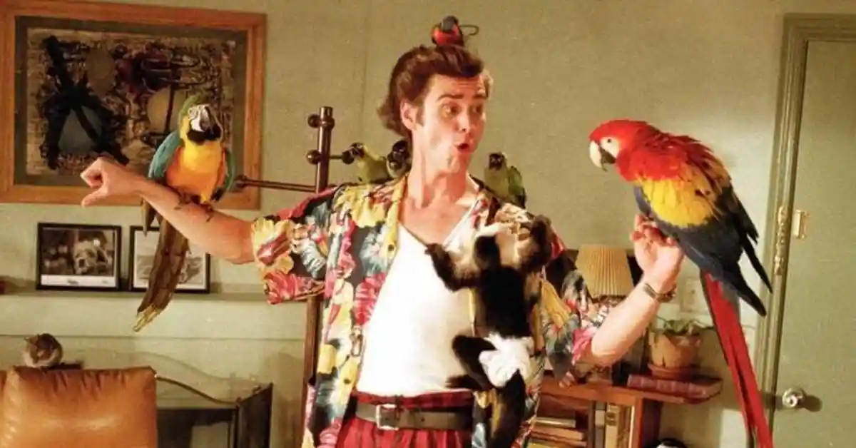 Лучшая комедия 90-х - грандиозное голосование. 1/16 финала