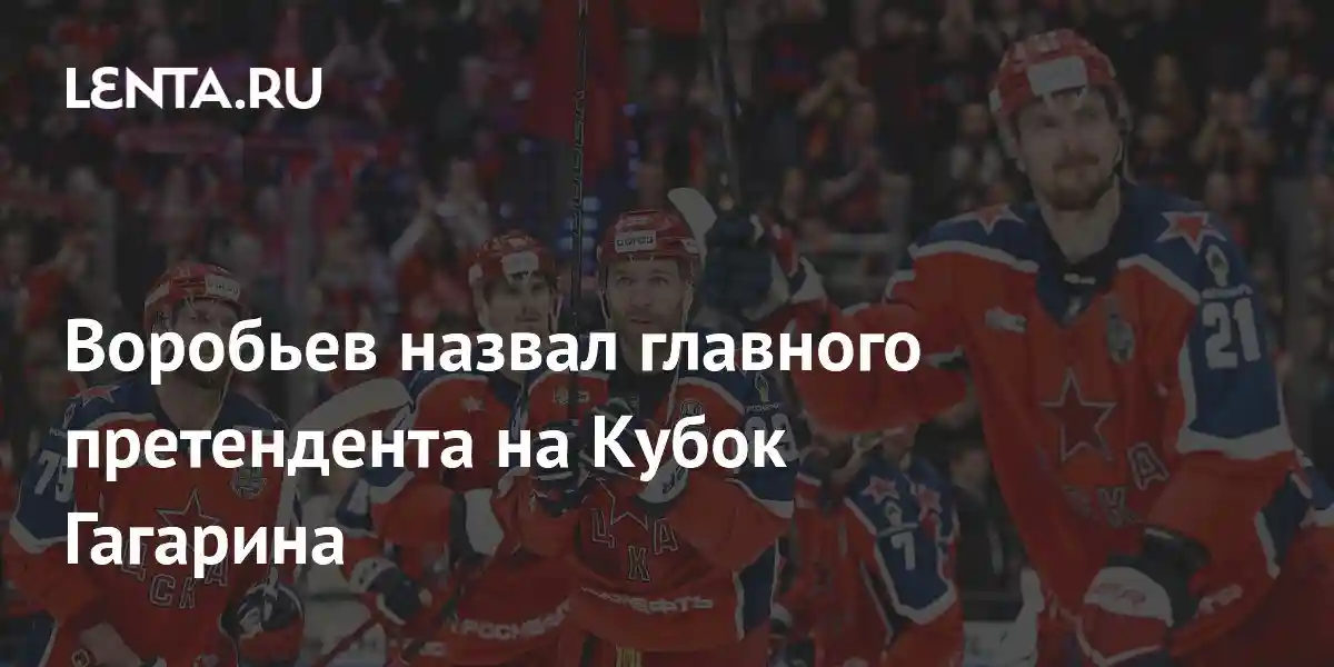 Воробьев назвал главного претендента на Кубок Гагарина